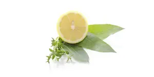 REVVI.PL CAMPHORA ICE COLD